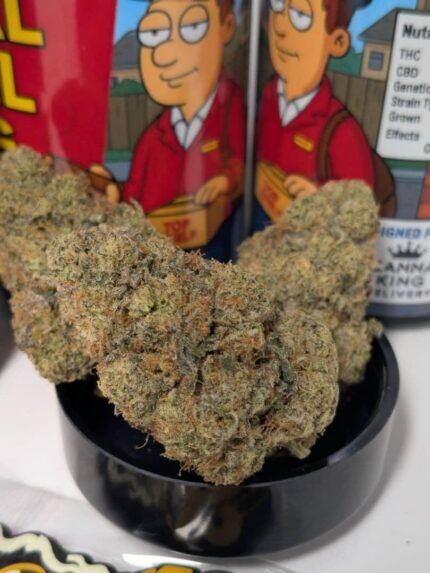 royal mail mail jobs