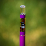 Order Dr Zodiak Moonrock Clear carts