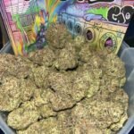 41 Unicornz Strain - 41 Unicornz For Sale