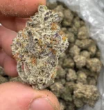 Buy Apple Fritter Strain Online