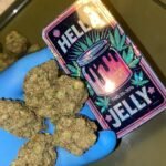 Buy Hella Jelly Strain
