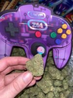 Buy Lava Cake Strain