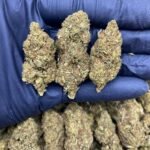 Buy OG Kush Online