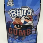 Buy Bluto Gumbo Strain Online - Image 2