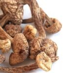 Buy Brazilian Magic Mushrooms in UK