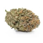 Buy Gelato Strain in UK - Image 2