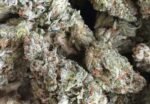 Buy Gorilla Glue #4 Online