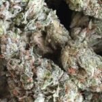 Buy Gorilla Glue #4 Online