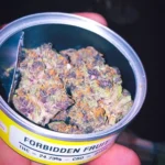 Space monkey meds Forbidden Fruit - Image 2