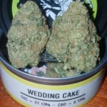 Space Monkey Meds Wedding Cake UK