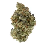 White Grapefruit - Image 2