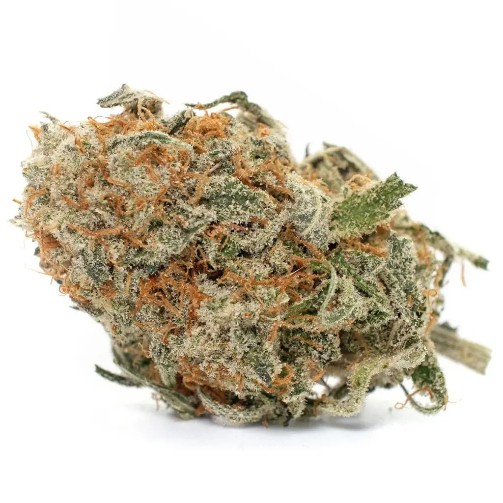 blue_cheese_AAAAA.webp Banana Bread Strain - Image 1
