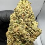 Buy Tropical Runtz strain