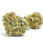 Zkittles Strain (Skittles Weed Strain)