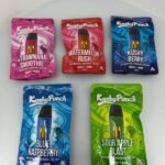 Disposable Vape Shops Near Me | Kushy Punch Disposable