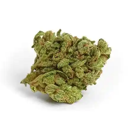 wol_banana-bread-cannabis-strain-review_450.webp Blue Cheese - Image 1